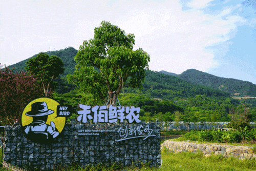 廈門人注意 國(guó)慶度假新模式來(lái)了 你還不知道