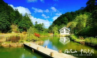 就差你了 中國(guó)虎園梅花山音樂(lè)啤酒節(jié)自駕二日游招募中