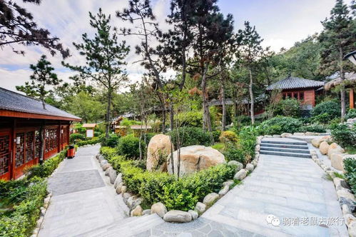 探索山西晉中的云泉谷景區(qū),天然氧吧與刺激體驗