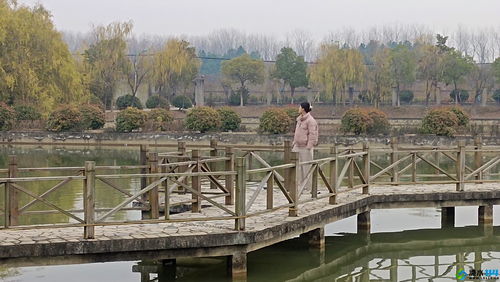 寵物花草 生態園 powered by discuz