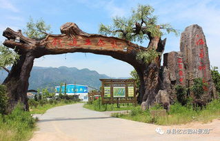 九龍?zhí)渡鷳B(tài)園大門景觀的獨(dú)特魅力