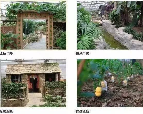 金秋之旅 蘭陵生態園賞向陽花、品美酒一日游