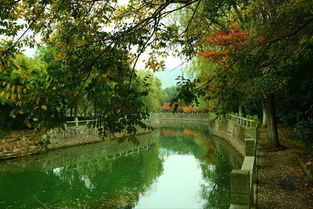 蘇州避暑秘境｜九龍潭生態園 炎夏26℃的清涼天堂，一般人我不告訴TA